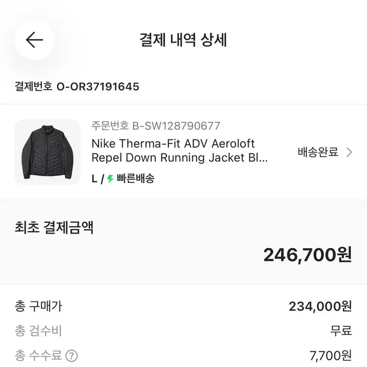 [BUNJANG] Nike Therma-FIT ADV Aeroloft Down Jacket / 나이키 써마핏 adv 에어로로프트 다운