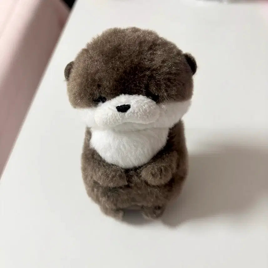 [SOLD OUT] 키탄클럽 카와이이 누이구루미 수족관 가챠 동물 인형 수달 해달