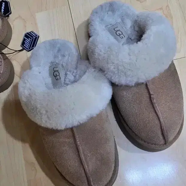 [BUNJANG] UGG Disquette Chestnut Slippers / UGG 미국정품 어그 디스케트 슬리퍼 체스트넛