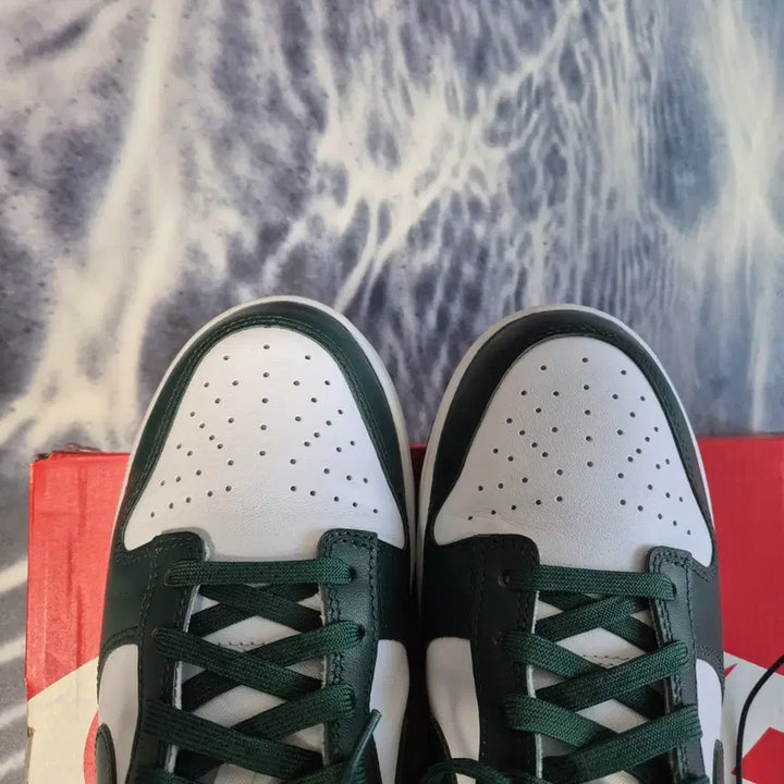 [BUNJANG] Nike Dunk Low Varsity Green 270mm / 덩크로우 바시티 그린 270mm