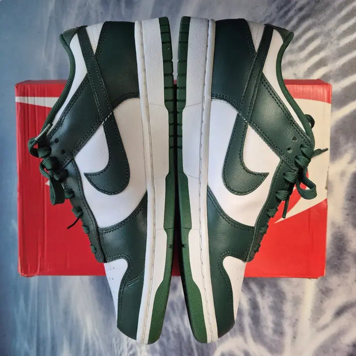 [BUNJANG] Nike Dunk Low Varsity Green 270mm / 덩크로우 바시티 그린 270mm