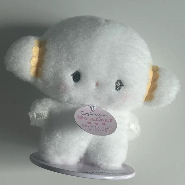 [BUNJANG] Sanrio Korgimung Pitatto S Plush Doll / 산리오 코기뮹 피탓토 s 인형