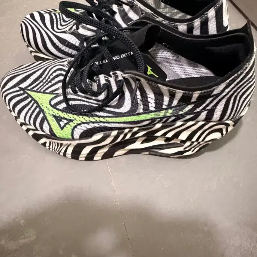 [BUNJANG] Mizuno Racing Early Bird Edition Running Shoes / 미즈노 레이싱화 얼리버드 에디션 한정판입니다