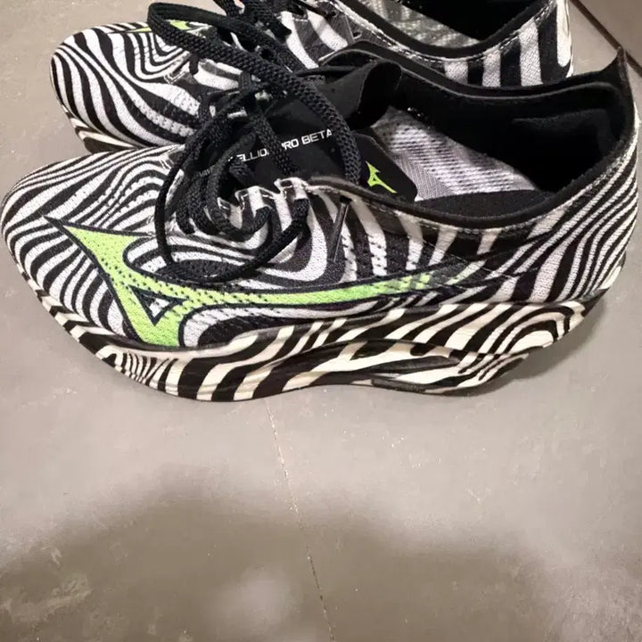 [BUNJANG] Mizuno Racing Early Bird Edition Running Shoes / 미즈노 레이싱화 얼리버드 에디션 한정판입니다