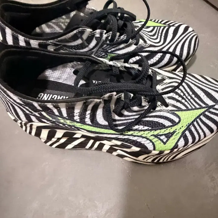 [BUNJANG] Mizuno Racing Early Bird Edition Running Shoes / 미즈노 레이싱화 얼리버드 에디션 한정판입니다