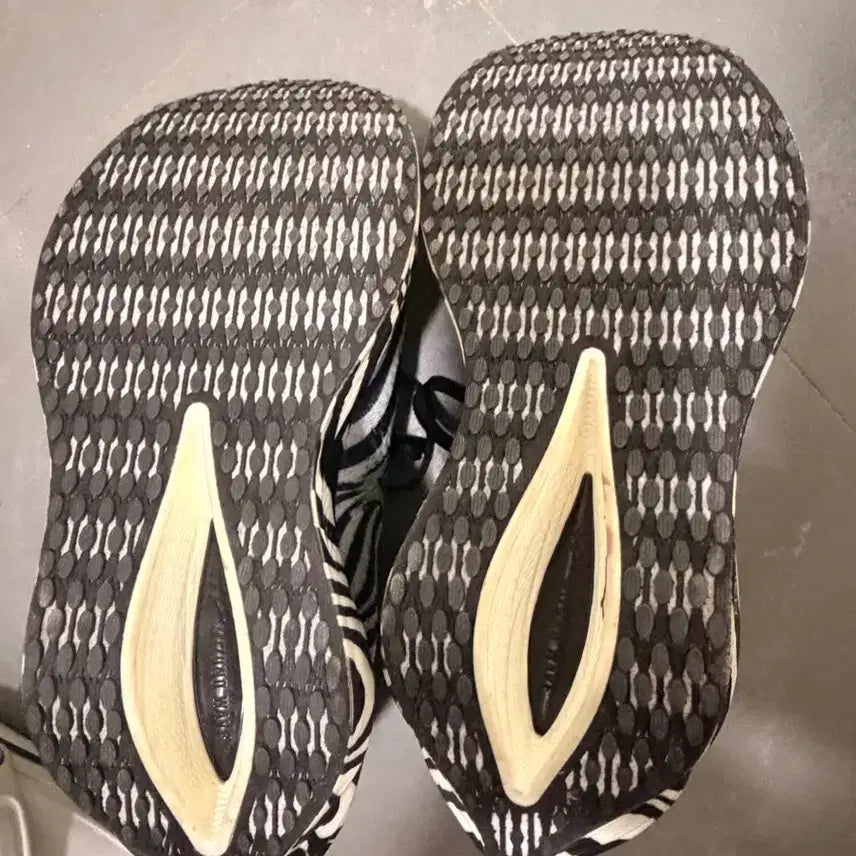 [BUNJANG] Mizuno Racing Early Bird Edition Running Shoes / 미즈노 레이싱화 얼리버드 에디션 한정판입니다