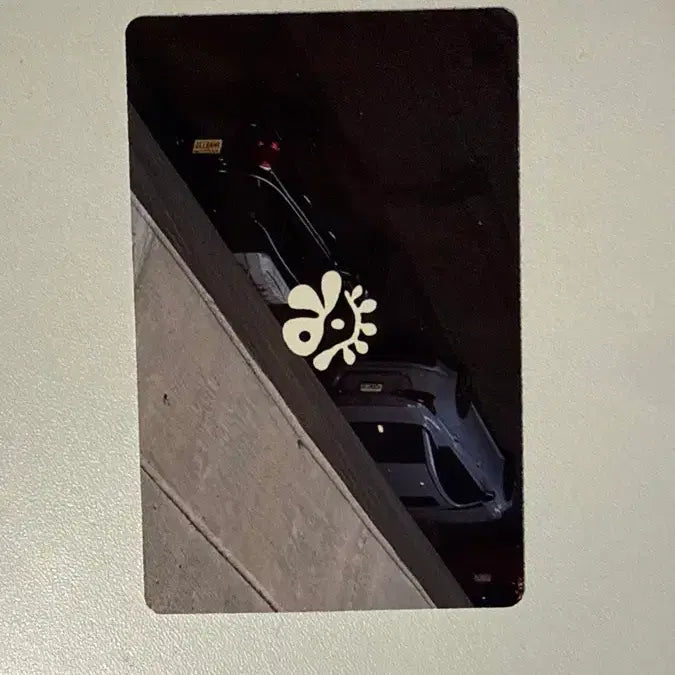 코르티스 마틴 포카