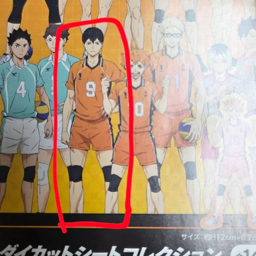 [BUNJANG] Haikyu Tobio Kageyama Die-cut Sheet Collection / 하이큐 다이컷 시트 컬렉션 카게야마 토비오