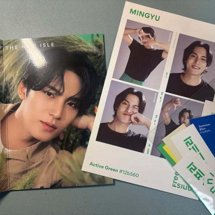 [BUNJANG] SEVENTEEN Mingyu Innisfree 4-Cut Photo + Folding Photo / 세븐틴 민규 이니스프리 네컷+폴딩 포토