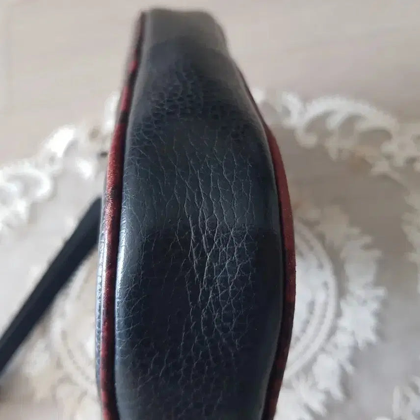 [BUNJANG] Coach Python Double Zip Crossbody Bag / 코치 파이톤배색 더블집 크로스백