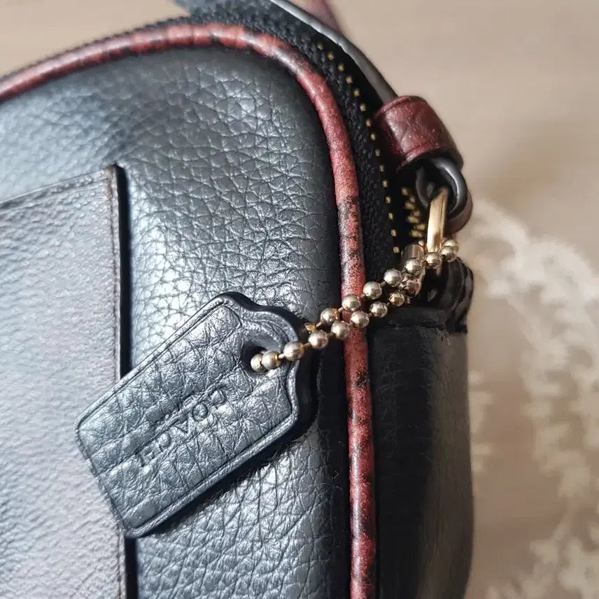 [BUNJANG] Coach Python Double Zip Crossbody Bag / 코치 파이톤배색 더블집 크로스백