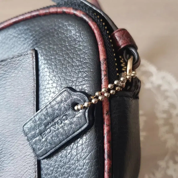 [BUNJANG] Coach Python Double Zip Crossbody Bag / 코치 파이톤배색 더블집 크로스백