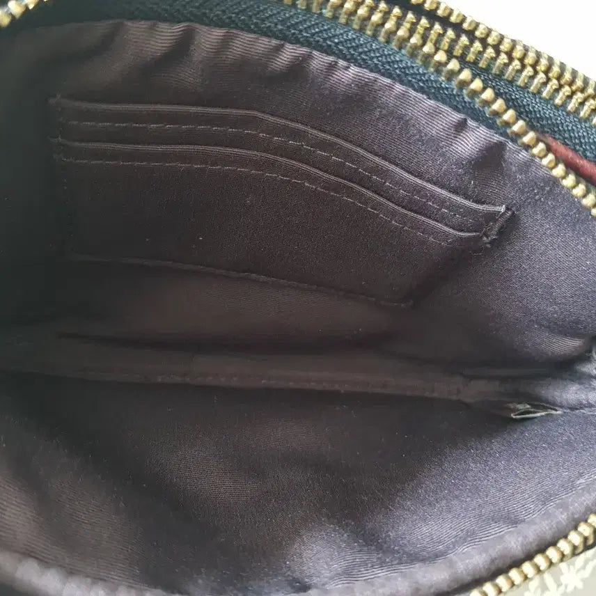 [BUNJANG] Coach Python Double Zip Crossbody Bag / 코치 파이톤배색 더블집 크로스백