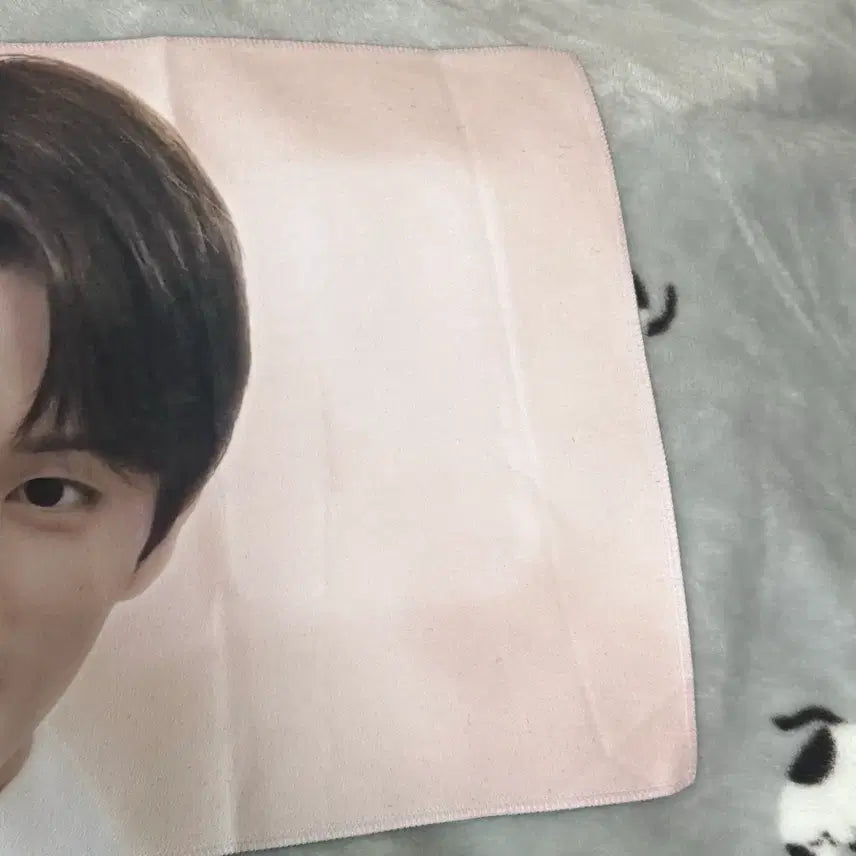 [SOLD OUT] 엔시티 드림 127 마크 슬로건 포카 양도 인형