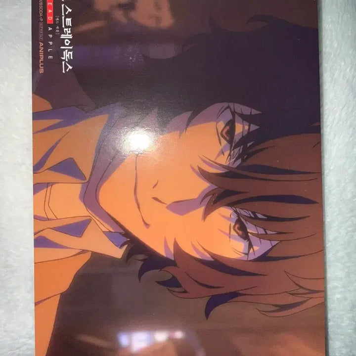 [BUNJANG] Bungo Stray Dogs Mini Brocard / 문호스트레이독스 미니 브로마이드