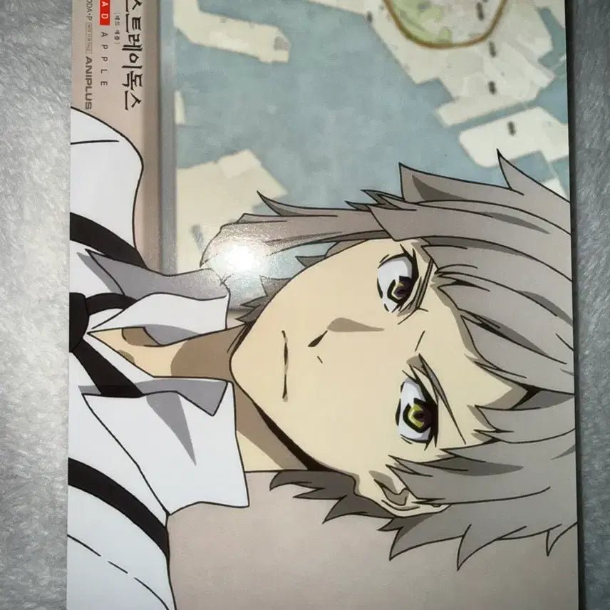 [BUNJANG] Bungo Stray Dogs Mini Brocard / 문호스트레이독스 미니 브로마이드