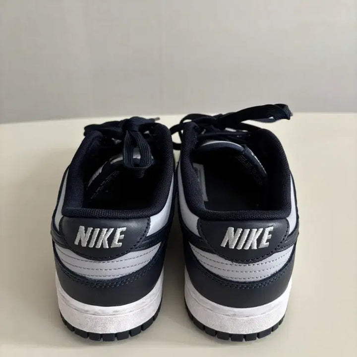 [BUNJANG] Nike Dunk Low 250 Sneakers / [정품] 나이키 덩크 로우 250