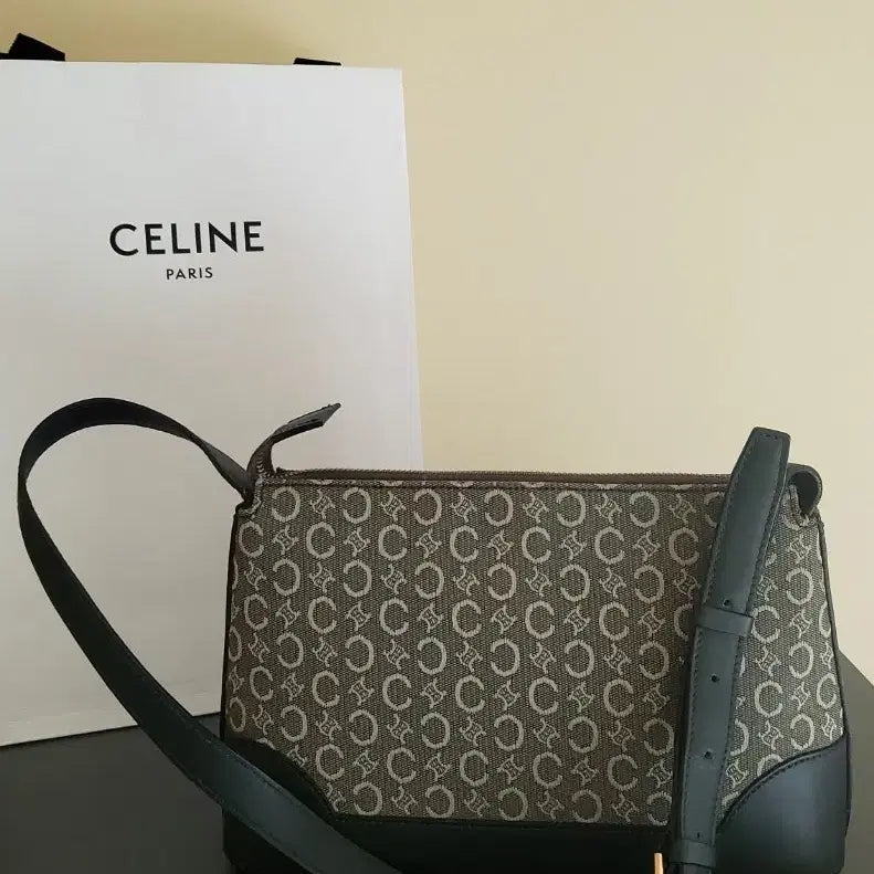 [BUNJANG] Celine Tote Bag / 셀린느  가방