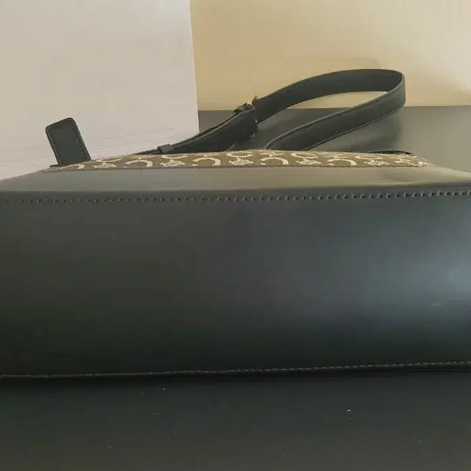 [BUNJANG] Celine Tote Bag / 셀린느  가방