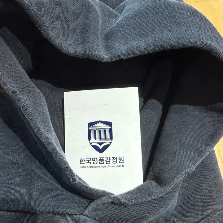 [BUNJANG] Apple Hoodie / 발렌시아가 런웨이 애플 후디