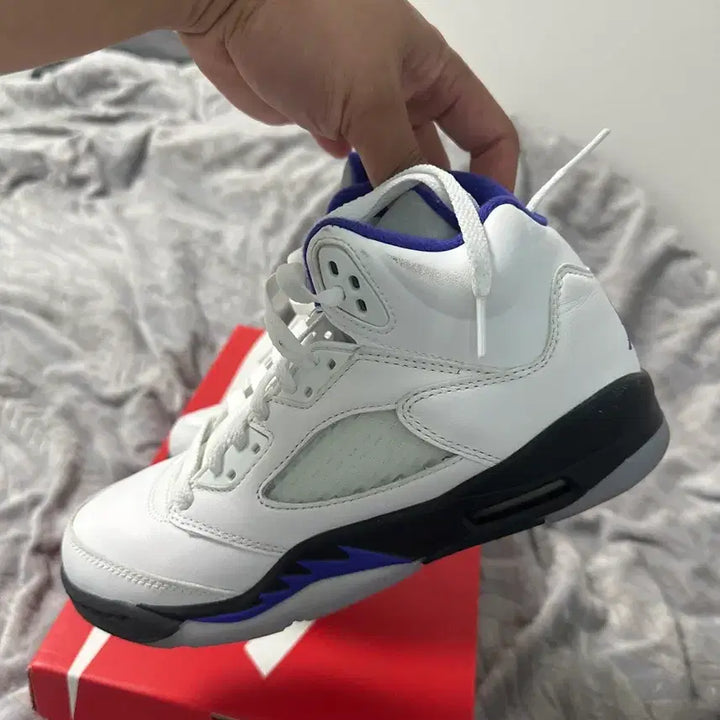 [BUNJANG] Nike Air Jordan 5 White/Purple Sneakers 240mm / 나이키 에어 조던 5 화이트/퍼플 운동화 240mm