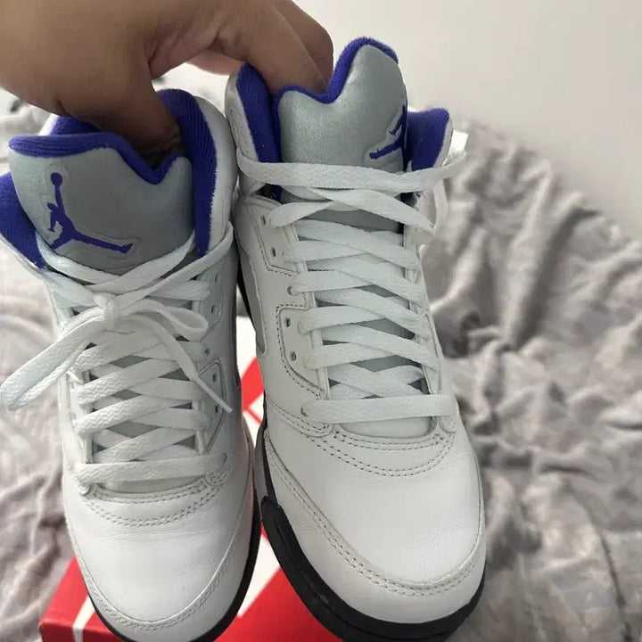 [BUNJANG] Nike Air Jordan 5 White/Purple Sneakers 240mm / 나이키 에어 조던 5 화이트/퍼플 운동화 240mm