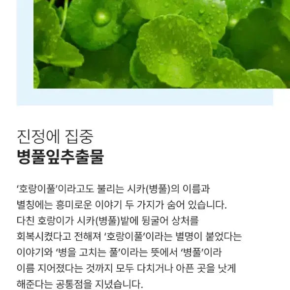 [BUNJANG] V.Green Cica Serum / 미개봉 새상품) 비그린 무향 시카 세럼