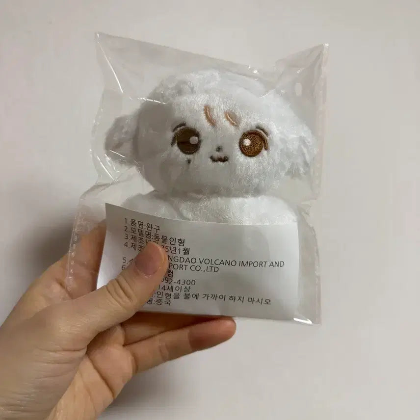 [BUNJANG] Seventeen Jeonghan 10cm Doll (Pink Hat & Knit Hat Included) / 정한 인형 퐁하니 10cm 양도 (핑크 모자&뜨개모자 포함)