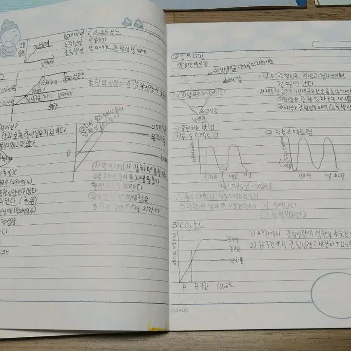 [BUNJANG] Vintage Used Notebooks Bundle / 예전 사용한 공책 8권 일괄