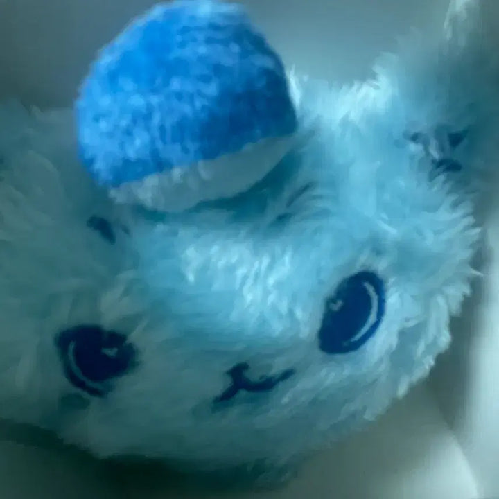 [BUNJANG] Wishdoll Blue Kuri / 컬러 위시돌 블루 쿠리 반택포