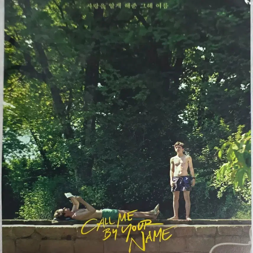[BUNJANG] Call Me by Your Name Poster / 콜미바이유어네임 포스터