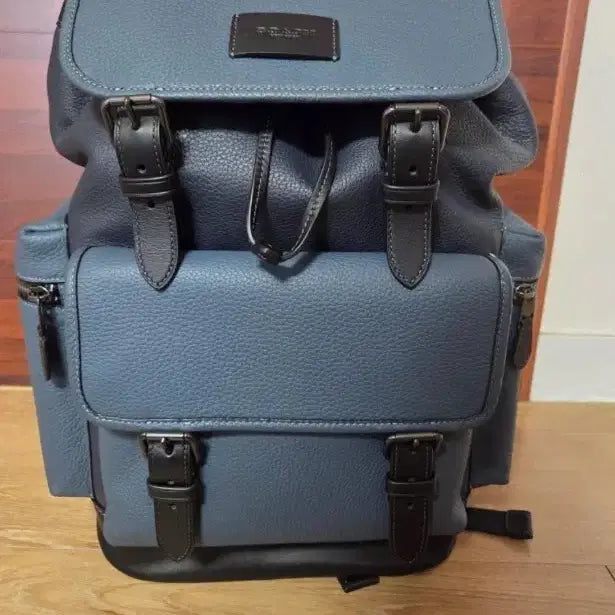 [BUNJANG] Coach Sprint Pebble Leather Backpack / 코치 남성 스프린트 페블 레더 백팩