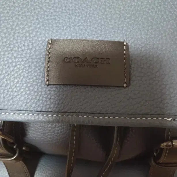 [BUNJANG] Coach Sprint Pebble Leather Backpack / 코치 남성 스프린트 페블 레더 백팩