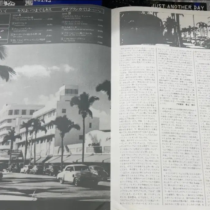 [BUNJANG] Bertie Higgins Casablanca LP / Bertie Higgins / 카사브랑카 LP