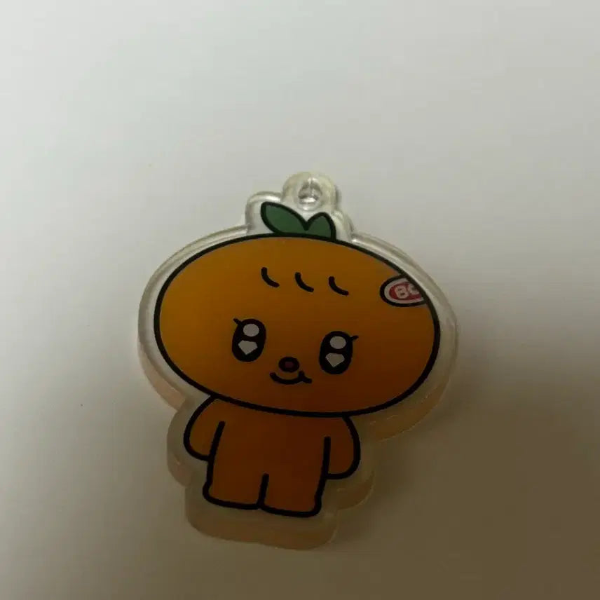 [BUNJANG] Seventeen Seungkwan Bbugeuli Acrylic Keyring Mini Tin / 세븐틴 승관 뿌귤이 아크릴 키링 미니틴