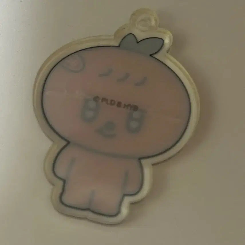 [BUNJANG] Seventeen Seungkwan Bbugeuli Acrylic Keyring Mini Tin / 세븐틴 승관 뿌귤이 아크릴 키링 미니틴