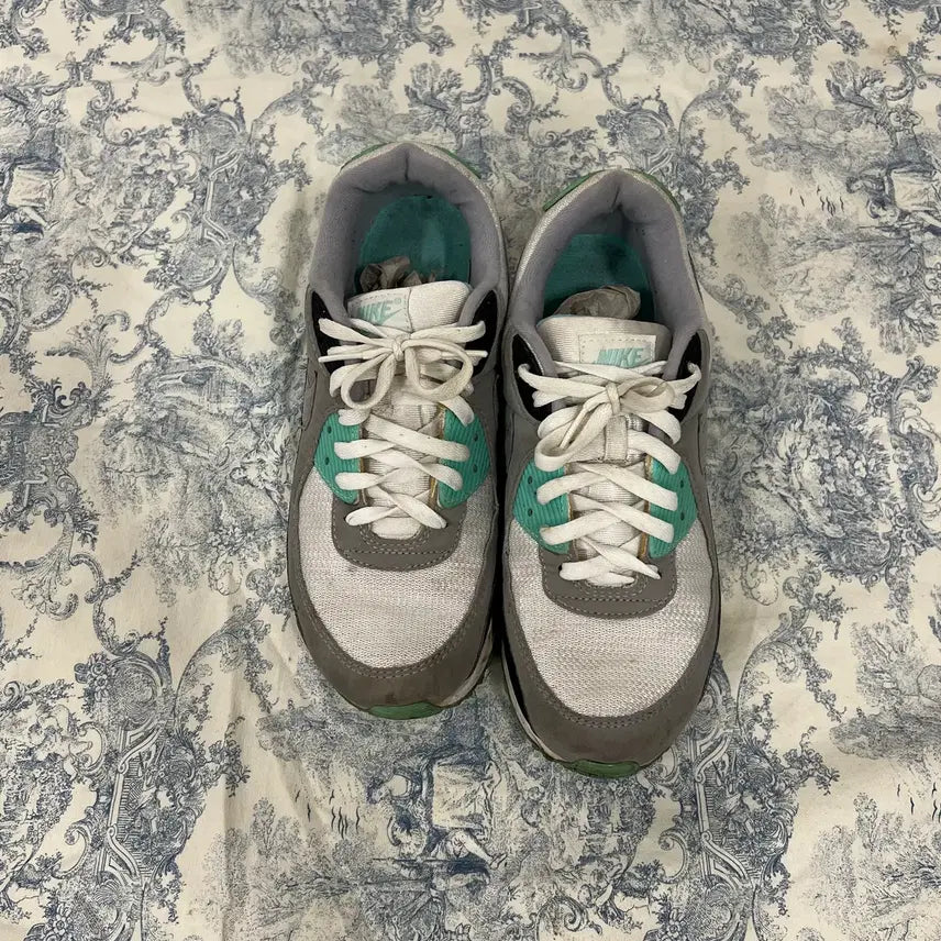 [BUNJANG] Nike Mint Sneakers (Size 285) / [NIKE] 나이키 운동화
