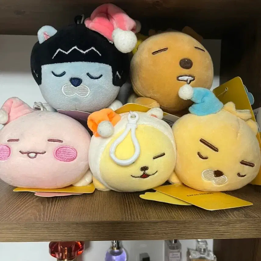 [BUNJANG] Kakao Friends Sleeping Doll Bundle Set / 카카오프렌즈 잠자는 인형 5종 세트
