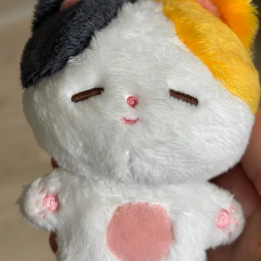 방탄소년단 지민 인형 찜냥이