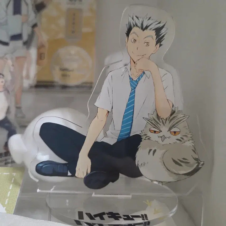 [BUNJANG] Haikyu Bokuto Kotaro Acrylic Standee / [배송비포함] 하이큐 아크릴 / 보쿠토 코타로