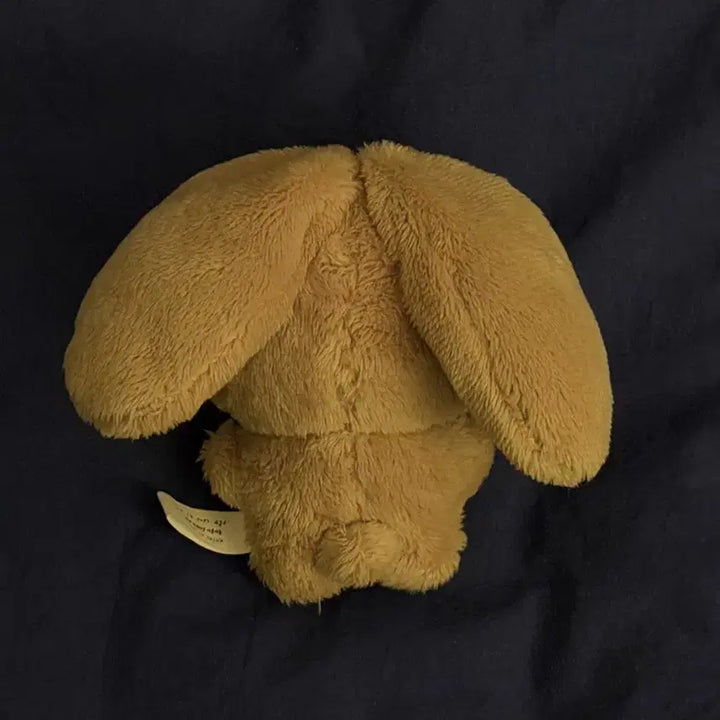 [BUNJANG] Xdinary Heroes Junhan JunTyo Doll / 엑디즈 준한 인형 준툐