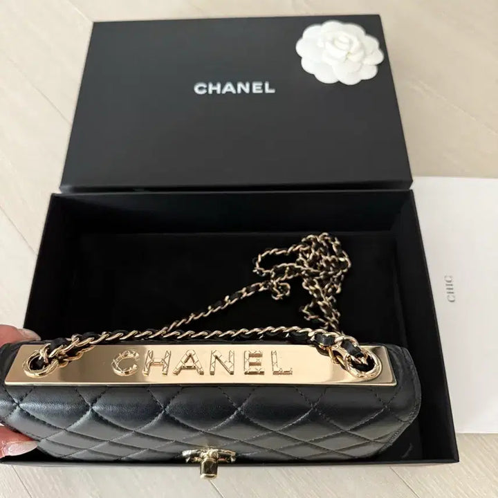 [BUNJANG] Chanel WOC (Lambskin/Champagne Gold) / 샤넬 트렌드cc WOC(램스킨/샴골)