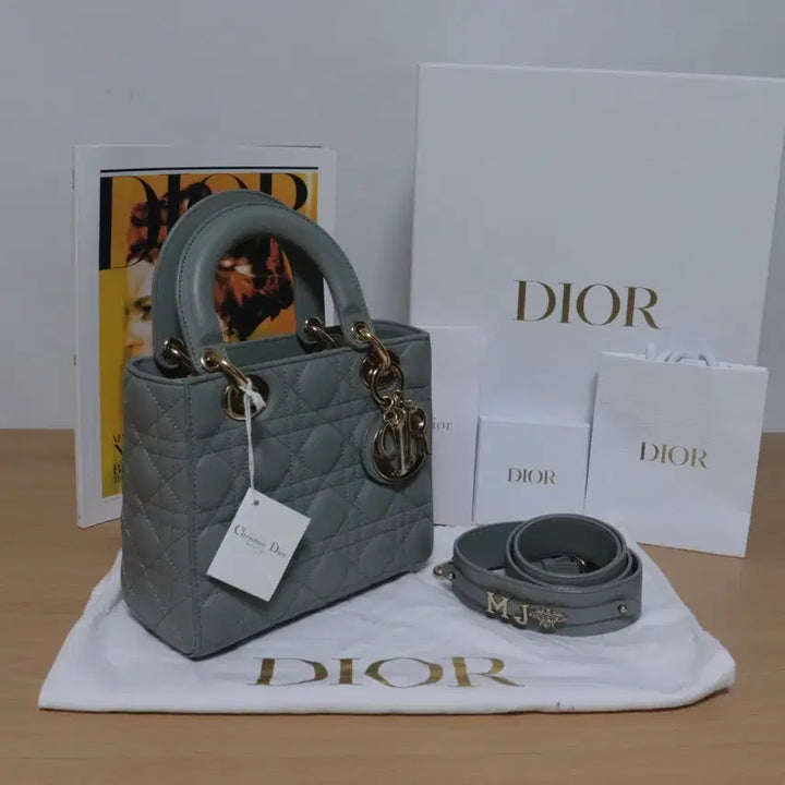 [BUNJANG] Dior Lady Dior Small Stone Gray Handbag / 디올 레이디백 스몰 스톤 그레이