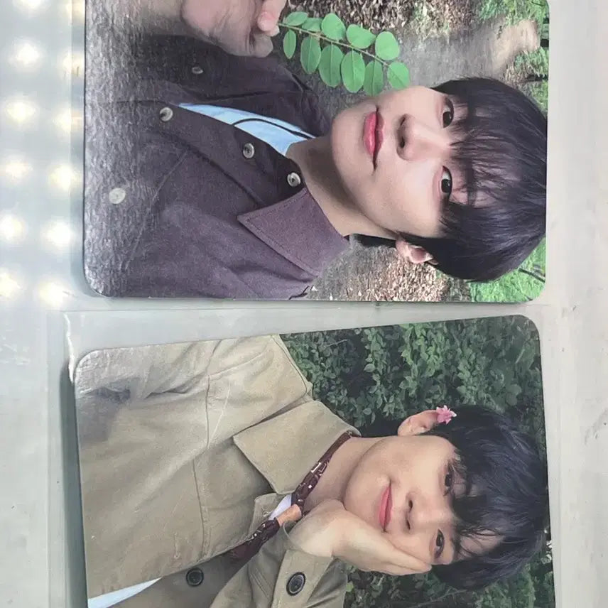 엔플라잉 엔피아존 포레스트 일괄