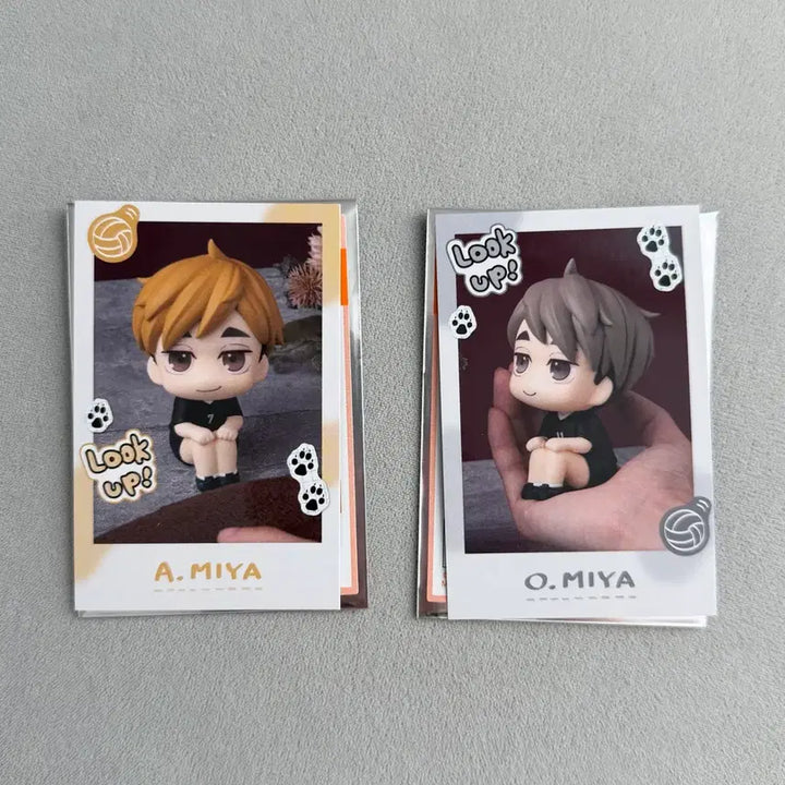 [BUNJANG] Haikyuu Atsumu & Osamu Look Up Snap Clear Card Bundle Set / 하이큐 미야 아츠무 오사무 룩업 스냅 클리어 카드 일괄