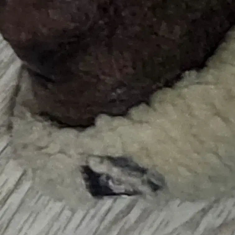 [BUNJANG] Avirex B-3 Mustang Jacket / [44] 아비렉스 b-3 무스탕 자켓