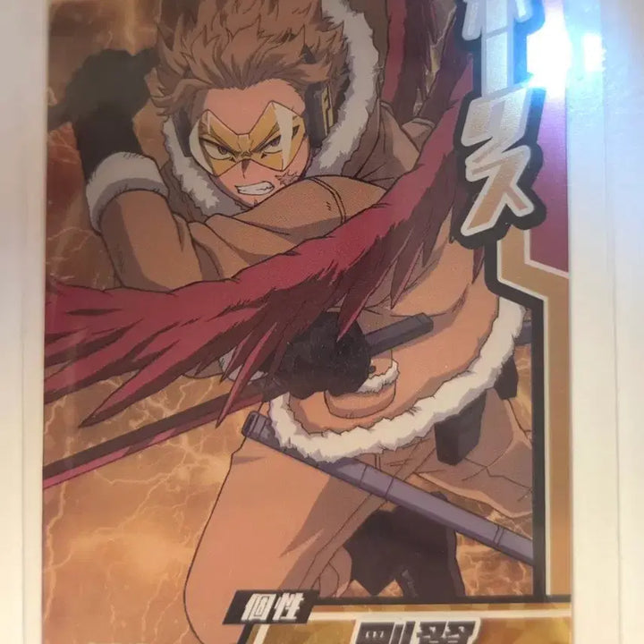 [BUNJANG] My Hero Academia Hawks Collector&