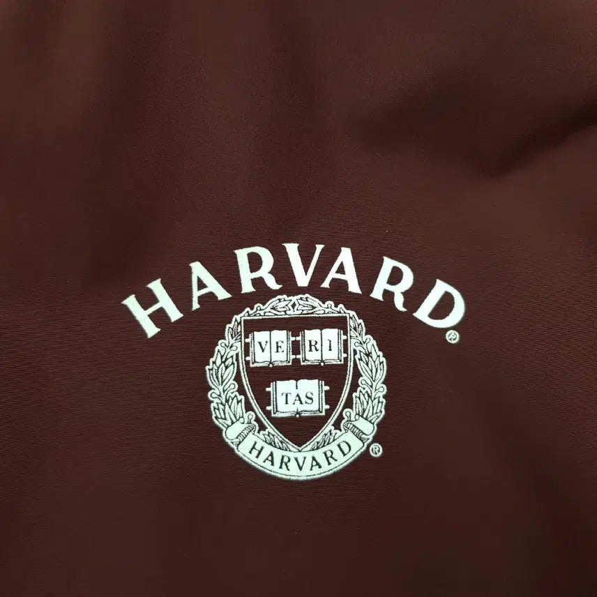 [BUNJANG] Champion Harvard Printing Anorak Jacket (Burgundy, Size M) / 챔피온/하버드프린팅아노락/바람막이/사이즈M/파라오쇼핑
