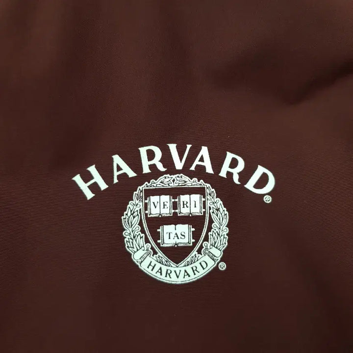 [BUNJANG] Champion Harvard Printing Anorak Jacket (Burgundy, Size M) / 챔피온/하버드프린팅아노락/바람막이/사이즈M/파라오쇼핑