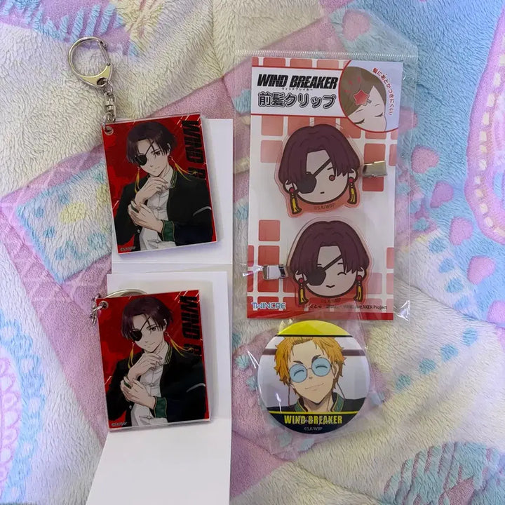 [BUNJANG] Wind Breaker SIO Hairpin & Keyring Set / 윈드브레이커 스오 헤어핀 키링 니레이